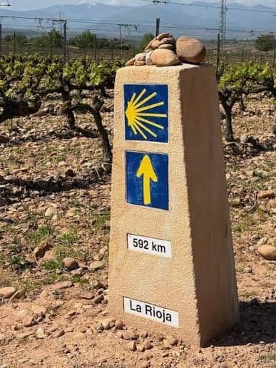 Camino de Santiago in Pamplona: where to drop your backpack for an afternoon of sightseeing